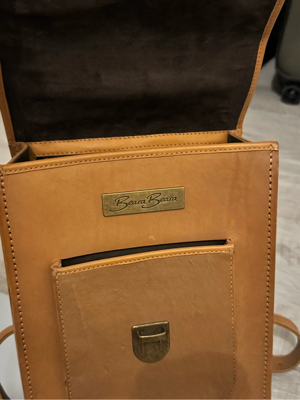 Beara beara sleek brown